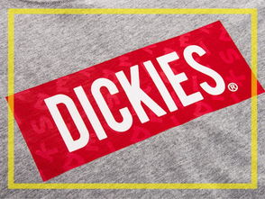 Dickies是什么品牌衣服，Dickies是什么品牌aM棉衣