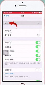 苹果手机怎样设置手写输入法锁定，苹果手机怎样设置手写输入法切换