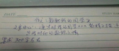 跆拳道作文300字左右，跆拳道,作文